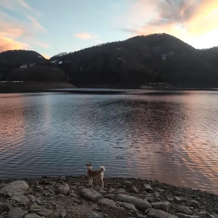 Летний дом Tara Land